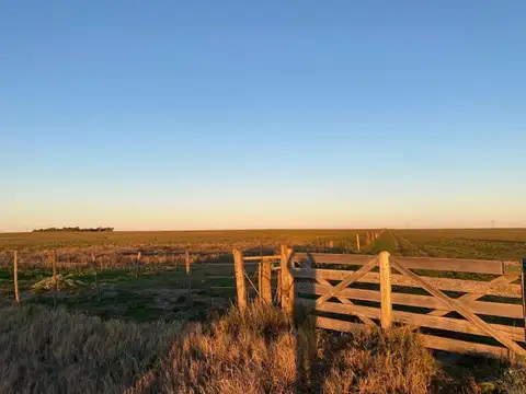 Campo en Venta en Bahia Blanca, Partido de Bahía Blanca
