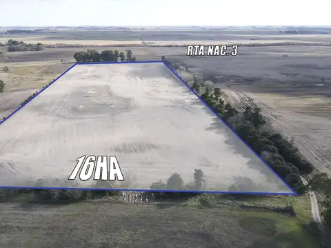 Campo en Venta en Azul, Partido de Azul