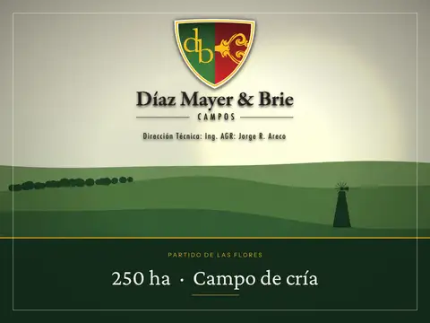 Campo en Venta en Las Flores, Partido de Las Flores