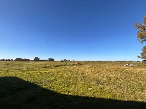 Campo en Venta en General Rodriguez, Partido de General Rodríguez
