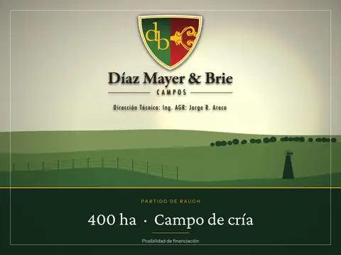 Campo en Venta en Rauch, Partido de Rauch