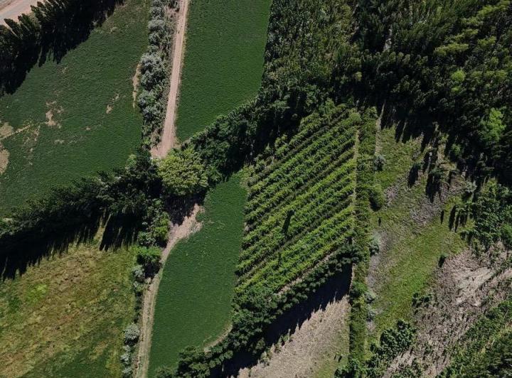 Campo · 20186m²
