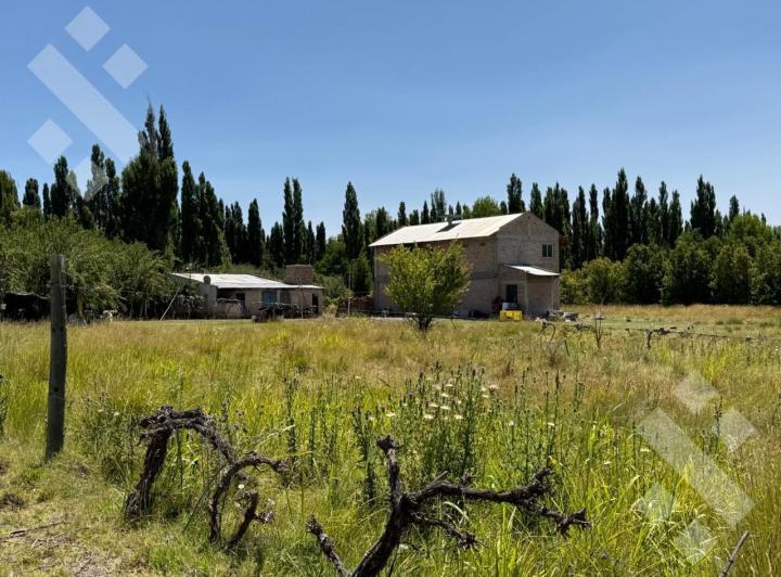 Campo · 170m² · 3 Ambientes