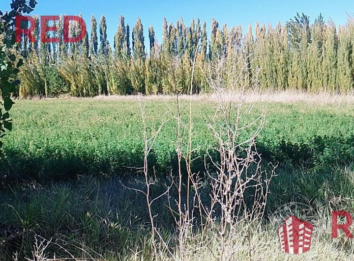 Campo · 45ha · 1 Dormitorio
