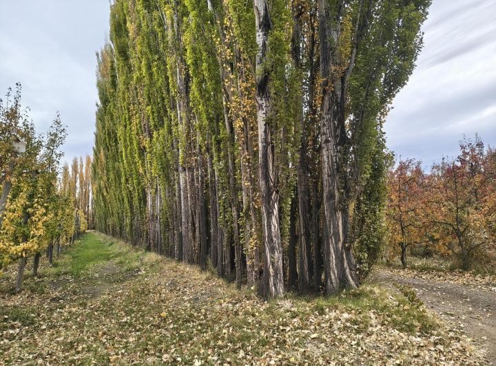 Terreno · 147000m²