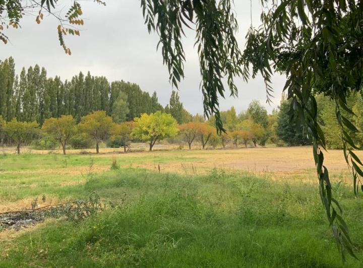 Campo · 228m² · 8 Ambientes · 1 Cochera