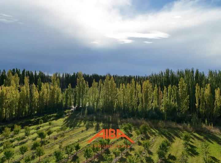 Campo · 134m² · 5 Ambientes