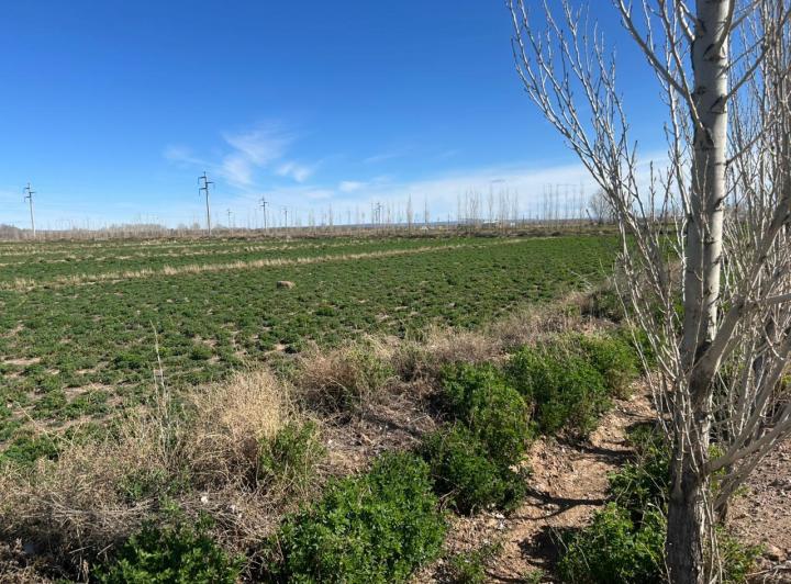 Terreno · 1500ha · 2 Ambientes