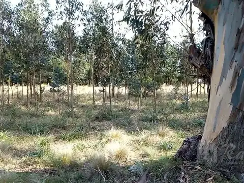 Terreno en Venta en Necochea, Partido de Necochea