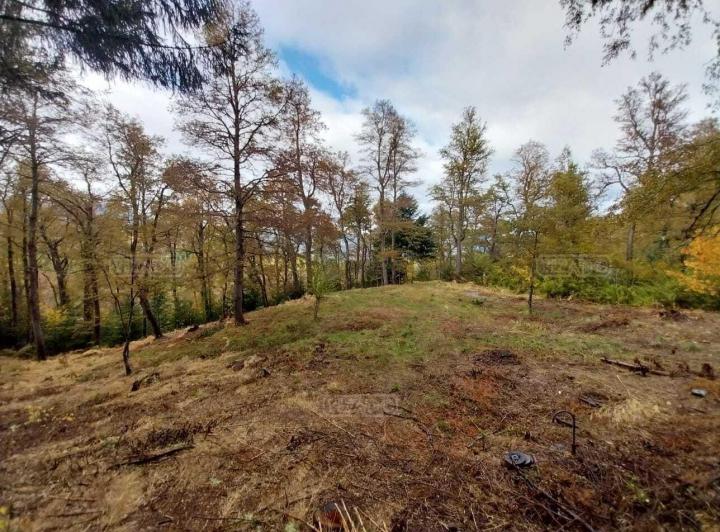 Terreno · 2450m²