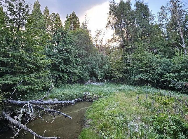 Terreno · 3708m²