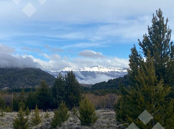 Terreno · 2917m²