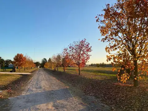 Terreno en Venta en La Asunción Club de Campo, Countries y Barrios Cerrados en Lujan