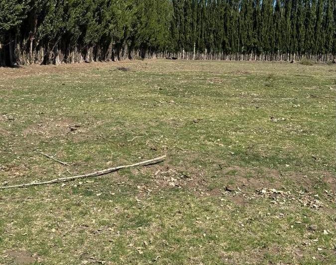 Campo · 9265m²