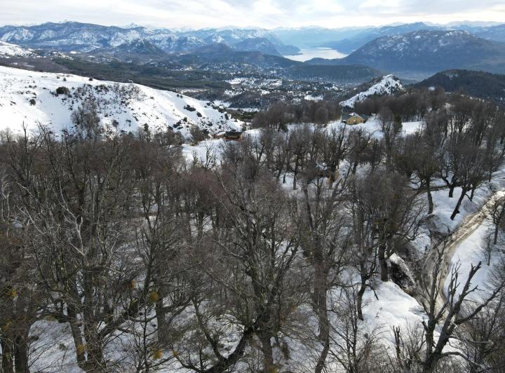 Terreno · 10294m²