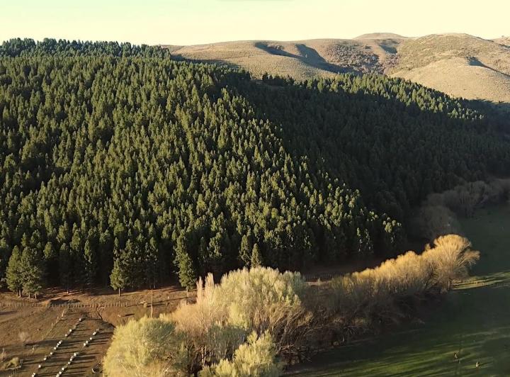 Terreno · 14000000m²