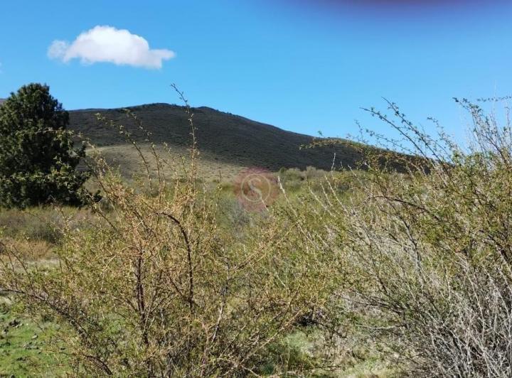Terreno · 15000m²