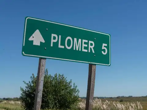 Terreno en Venta en Plomer, Partido de General Las Heras