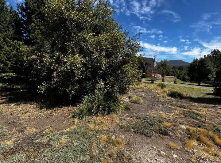 Terreno · 2600m²