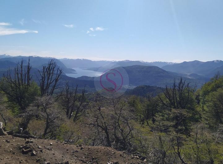 Terreno · 10032m²