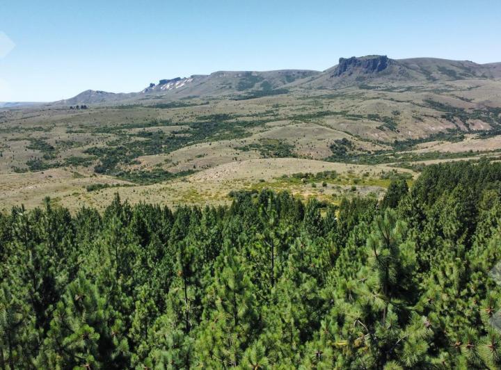 Terreno · 1044m²