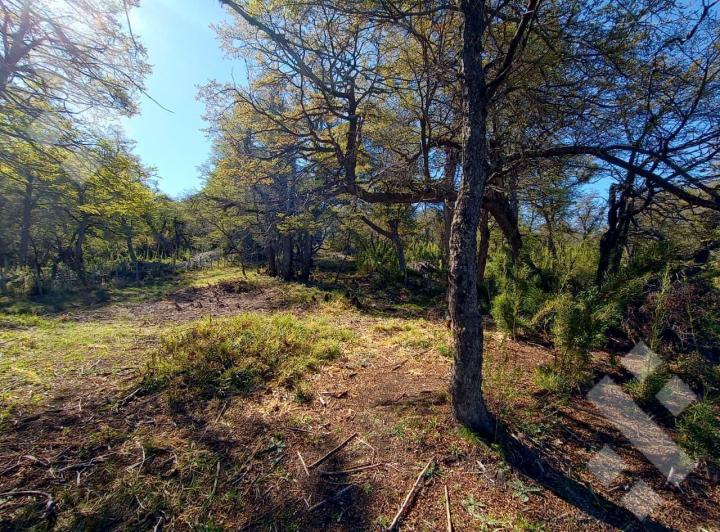 Terreno · 50m²