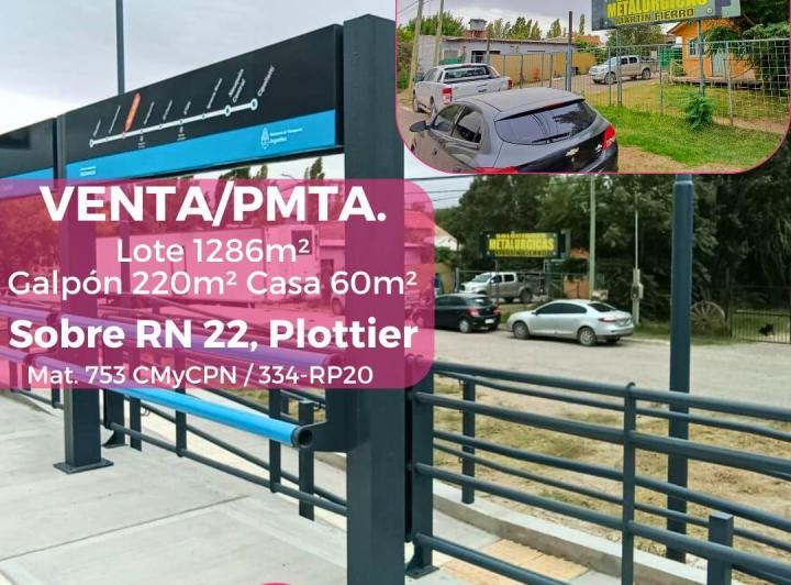 Bodega-Galpón · 280m²