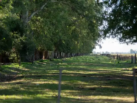 Terreno en Venta en Plomer, Partido de General Las Heras