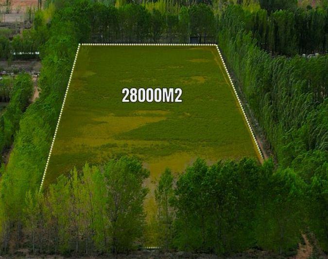 Campo · 28000m²