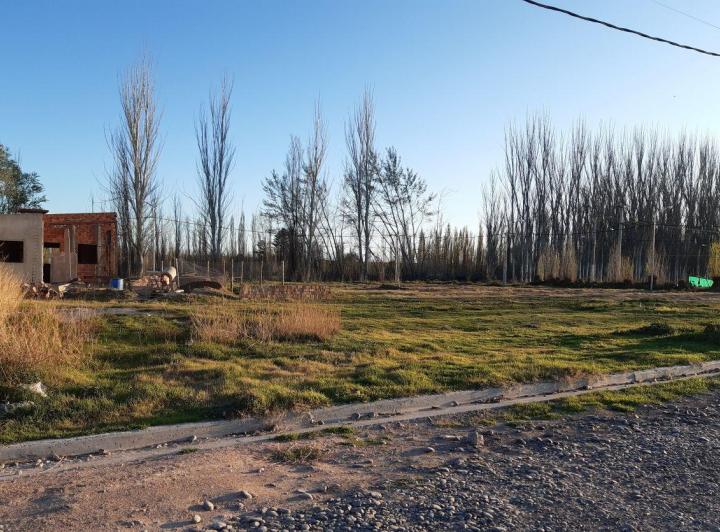 Terreno · 316m²
