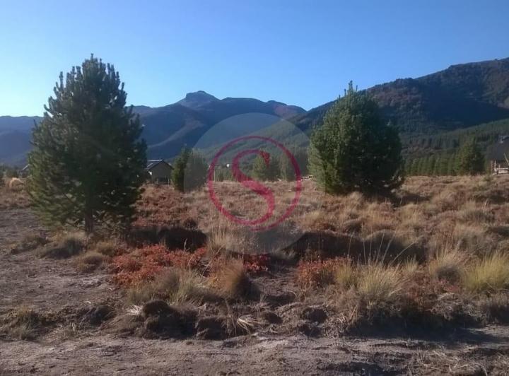 Terreno · 1027m²