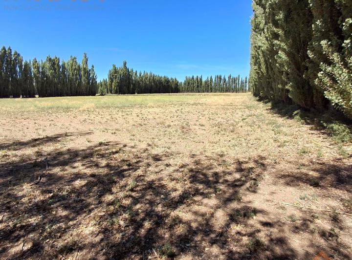 Campo · 360000m² · 4 Ambientes