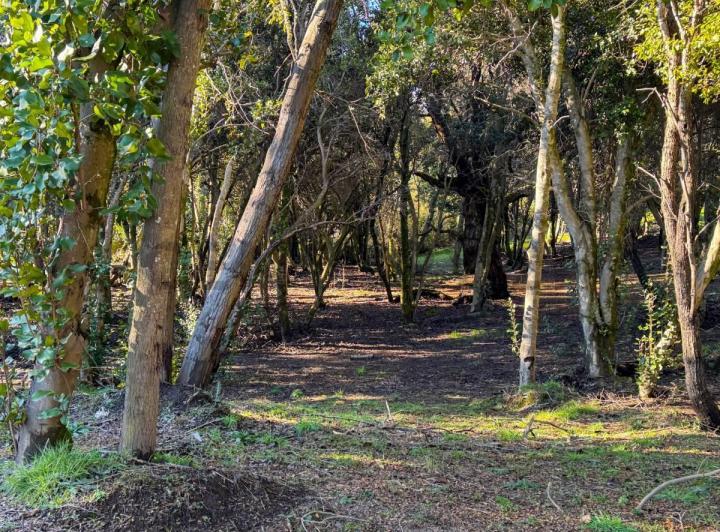 Terreno · 743m²