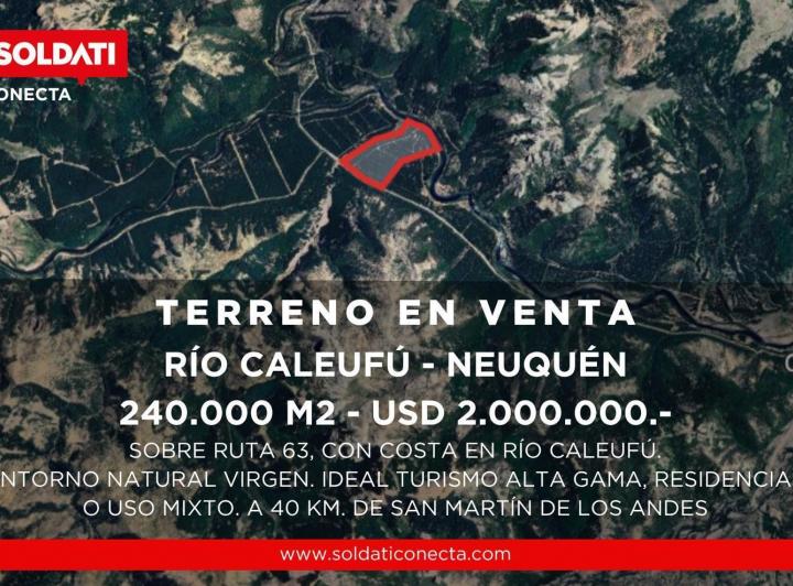Campo · 240000m²