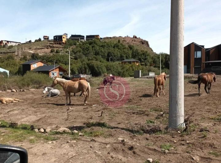 Terreno · 362m²