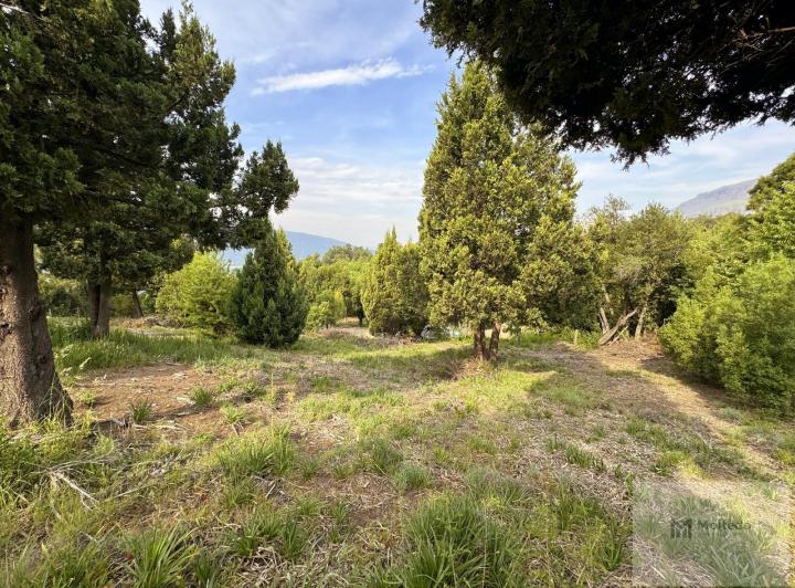Terreno · 875m²