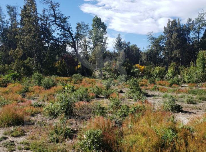 Terreno · 205m²