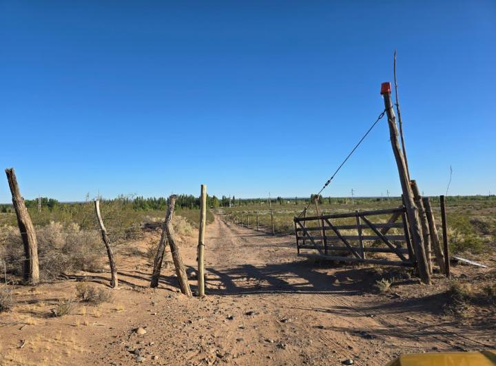 Campo · 129500ha