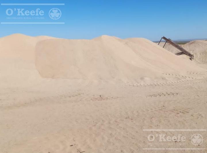 Campo · 27850000ha