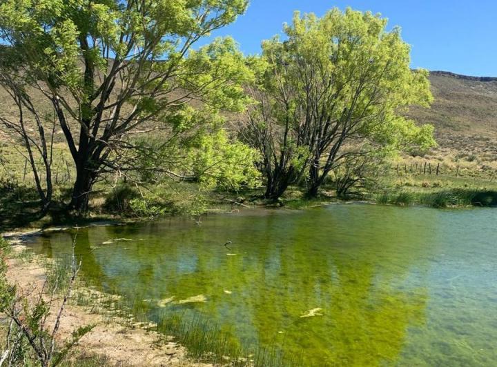 Campo · 78000000m²