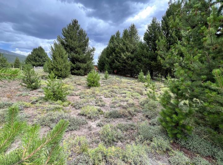 Terreno · 1000m²