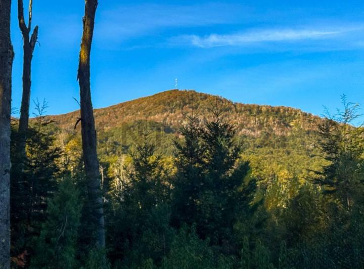 Terreno · 774m²