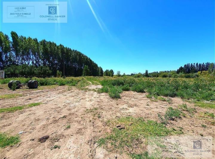 Terreno · 50000m²
