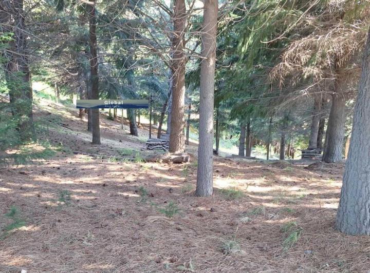 Terreno · 23440m²