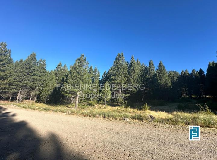 Terreno · 2623m²