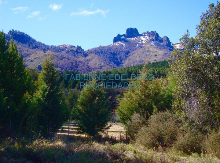 Terreno · 1000m²