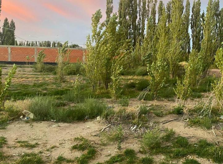 Terreno · 465m²
