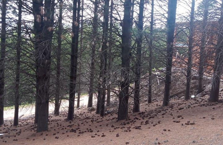 Terreno · 784m²