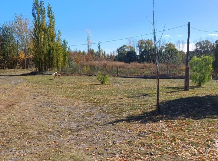 Casa · 120m² · 5 Ambientes