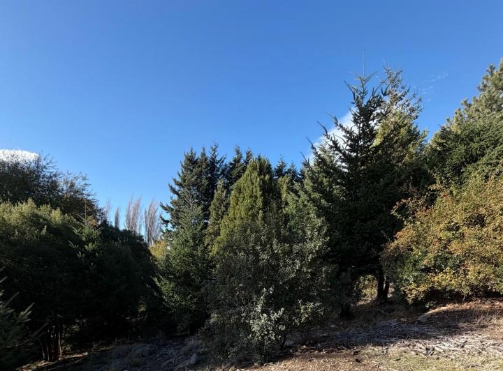 Terreno · 1292m²